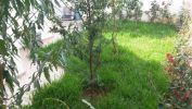 Vente Villa Meknes Toulal 320 m2 8 pieces