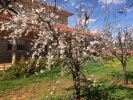 For sale Agricultural domain Meknes 400 m2 6 rooms